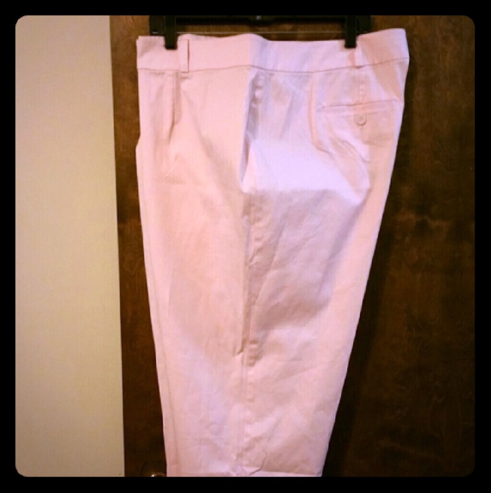Talbots NWT Light Pink/Blush Size 22 Slacks
